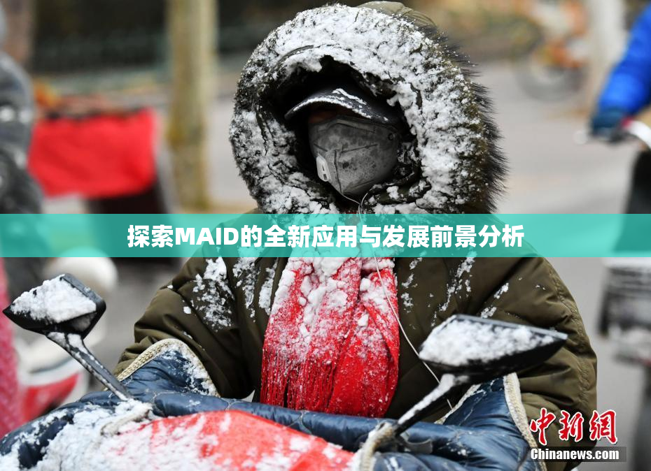 探索MAID的全新应用与发展前景分析