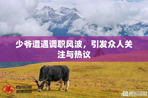 少爷遭遇调职风波，引发众人关注与热议