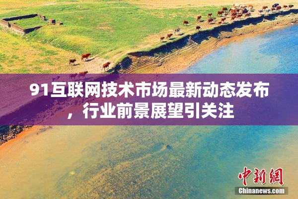 91互联网技术市场最新动态发布，行业前景展望引关注