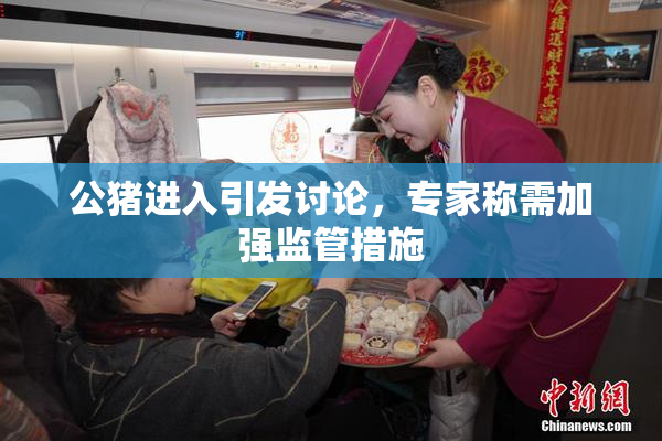 公猪进入引发讨论，专家称需加强监管措施