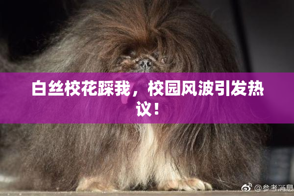 白丝校花踩我，校园风波引发热议！