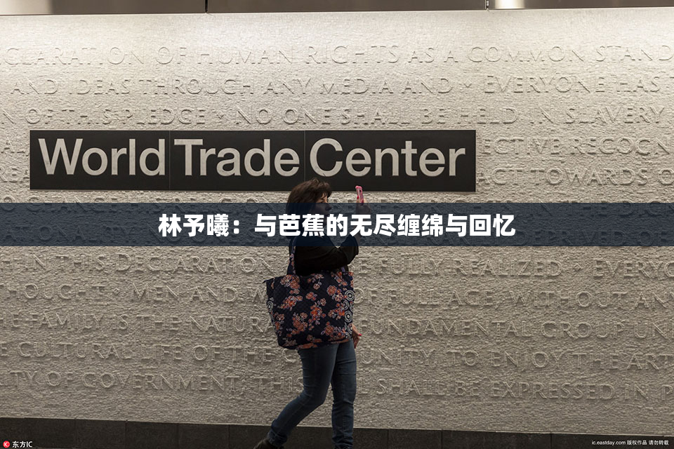 林予曦：与芭蕉的无尽缠绵与回忆
