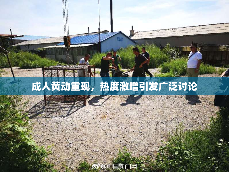 成人黄动重现，热度激增引发广泛讨论