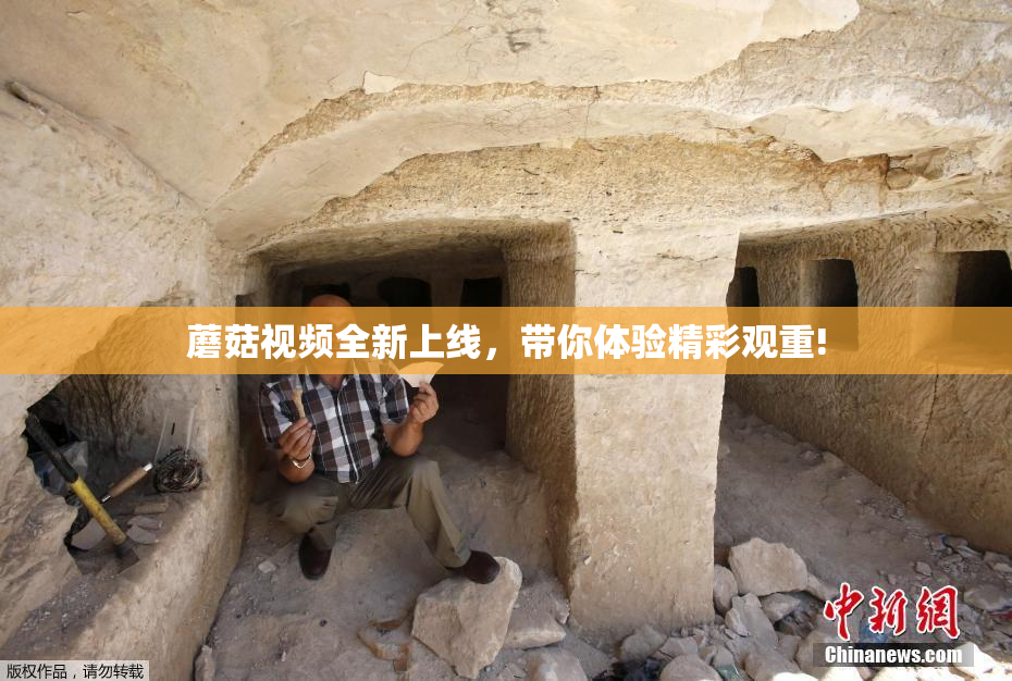 蘑菇视频全新上线，带你体验精彩观重!