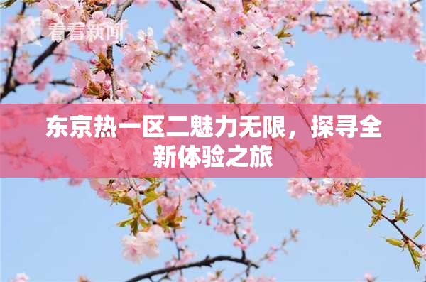 东京热一区二魅力无限，探寻全新体验之旅