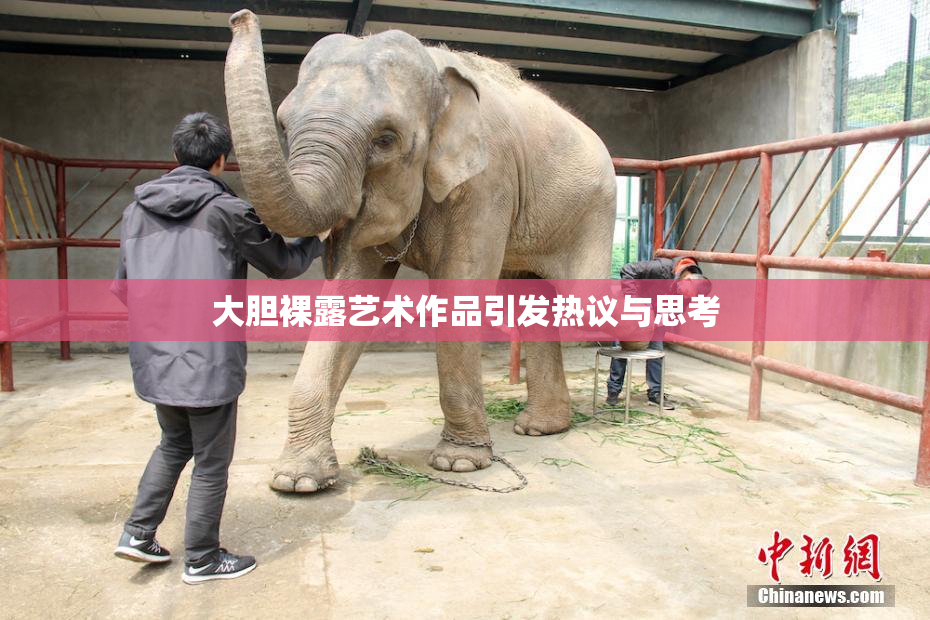 大胆裸露艺术作品引发热议与思考