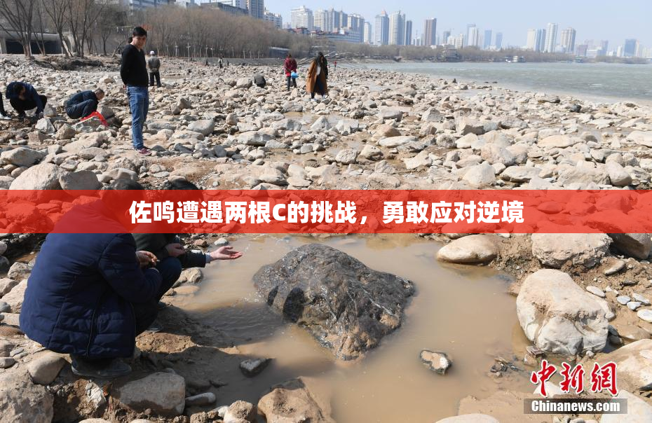 佐鸣遭遇两根C的挑战，勇敢应对逆境