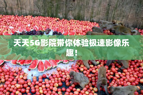 天天5G影院带你体验极速影像乐趣！