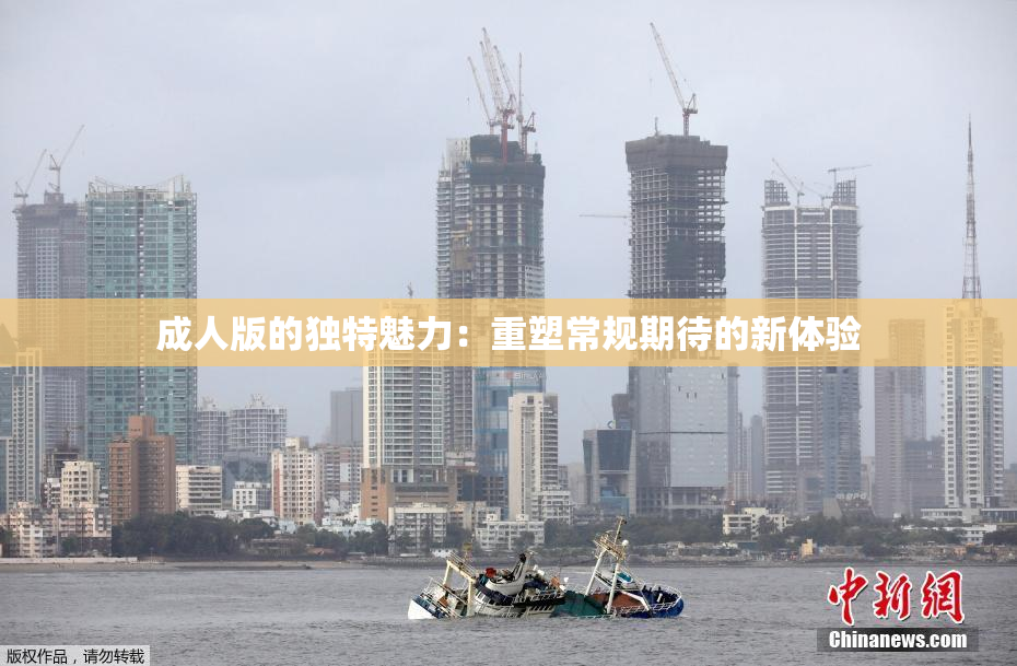 成人版的独特魅力：重塑常规期待的新体验