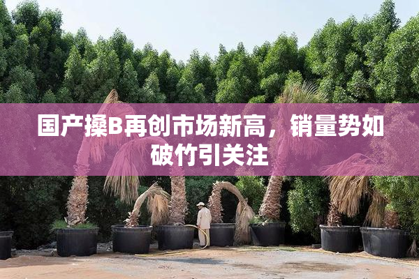 国产搡B再创市场新高，销量势如破竹引关注