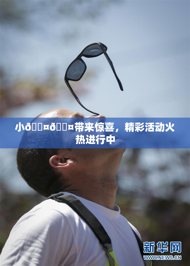 小🐤🐤带来惊喜，精彩活动火热进行中