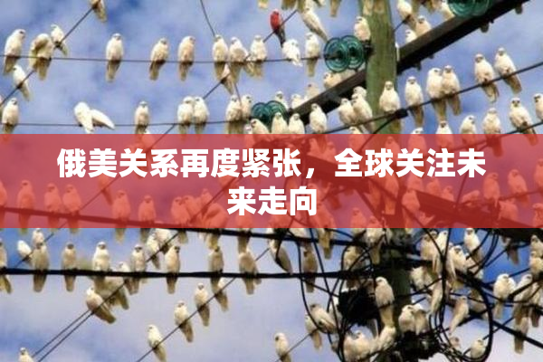 俄美关系再度紧张，全球关注未来走向