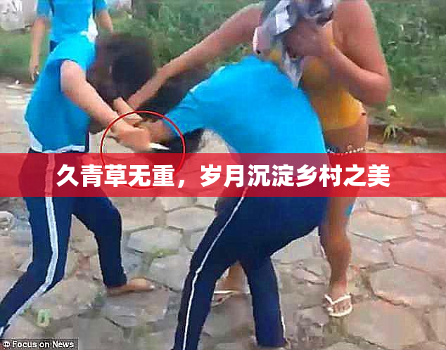 久青草无重，岁月沉淀乡村之美