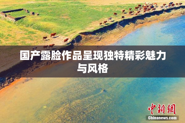 国产露脸作品呈现独特精彩魅力与风格