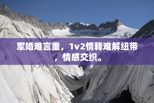 军婚难言重，1v2情释难解纽带，情感交织。