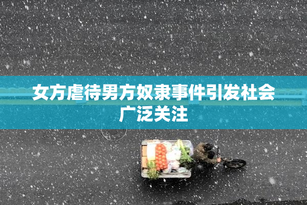 女方虐待男方奴隶事件引发社会广泛关注