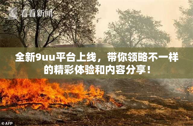 全新9uu平台上线，带你领略不一样的精彩体验和内容分享！