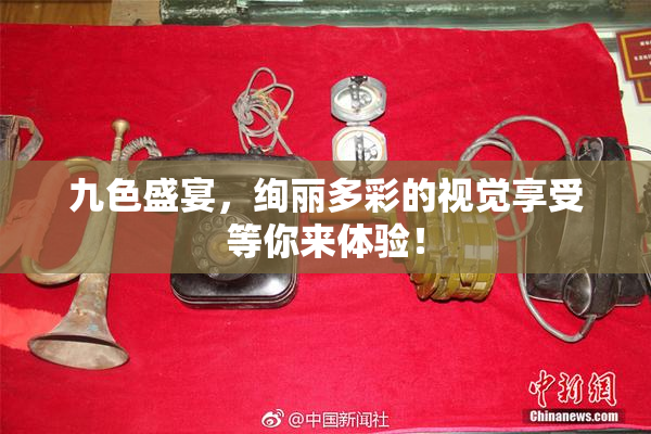 九色盛宴，绚丽多彩的视觉享受等你来体验！