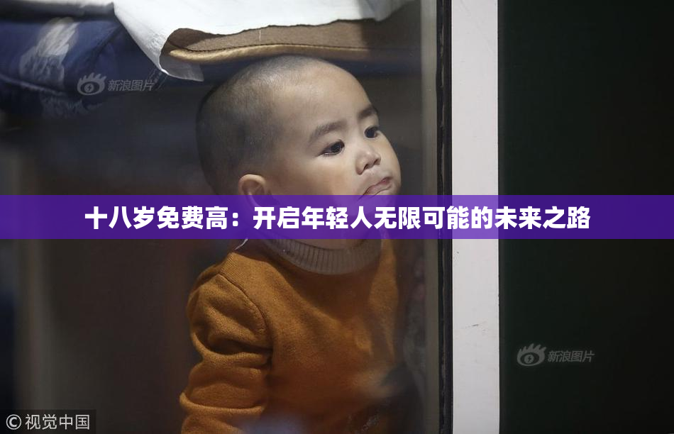 十八岁免费高：开启年轻人无限可能的未来之路