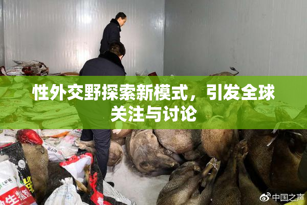 性外交野探索新模式，引发全球关注与讨论
