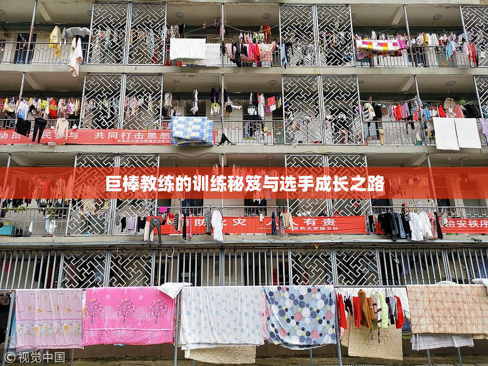 巨棒教练的训练秘笈与选手成长之路