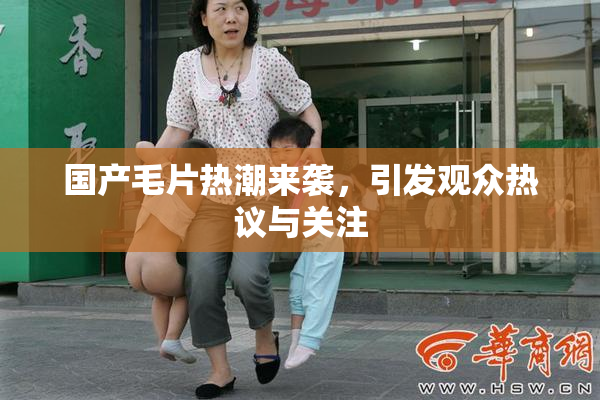 国产毛片热潮来袭，引发观众热议与关注