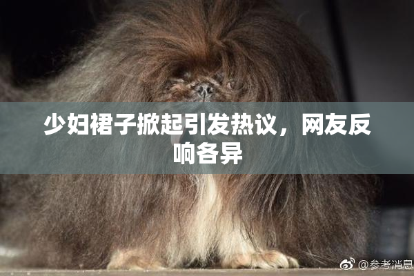少妇裙子掀起引发热议，网友反响各异