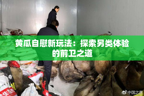 黄瓜自慰新玩法：探索另类体验的前卫之道