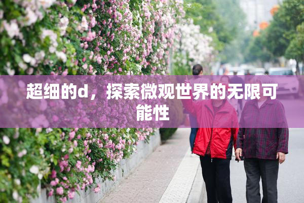 超细的d，探索微观世界的无限可能性