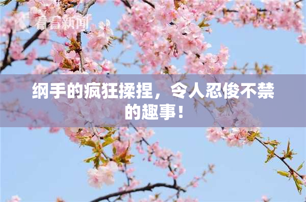 纲手的疯狂揉捏，令人忍俊不禁的趣事！