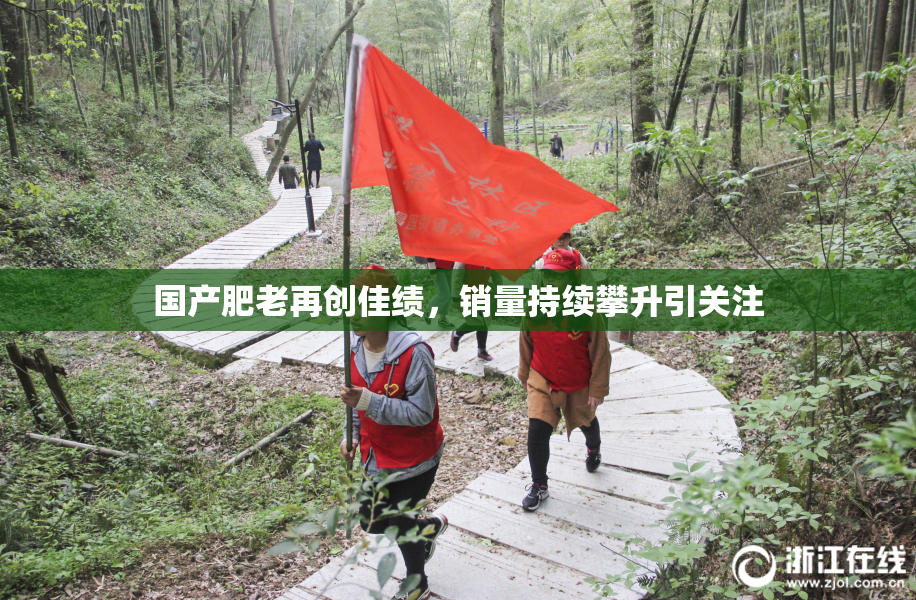 国产肥老再创佳绩，销量持续攀升引关注