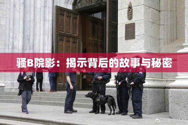 骚B院影：揭示背后的故事与秘密