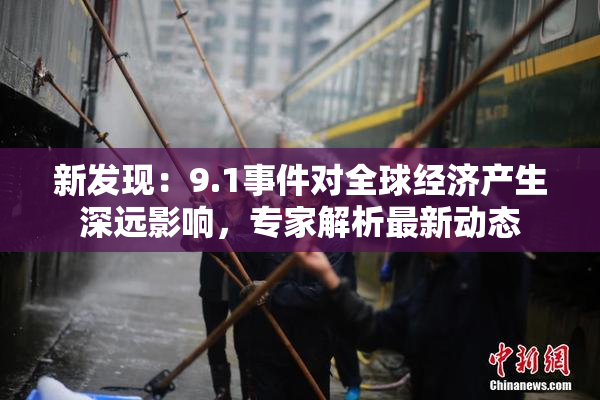 新发现：9.1事件对全球经济产生深远影响，专家解析最新动态