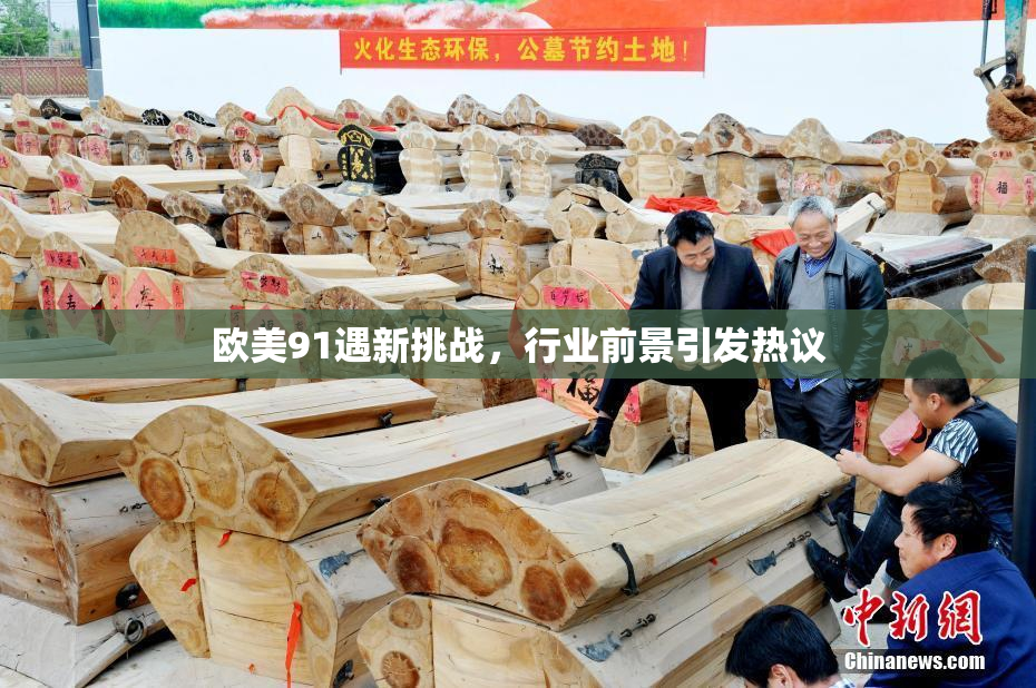 欧美91遇新挑战，行业前景引发热议