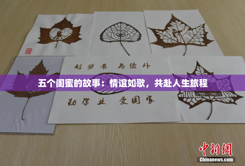 五个闺蜜的故事：情谊如歌，共赴人生旅程