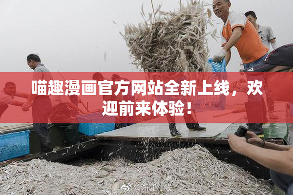 喵趣漫画官方网站全新上线，欢迎前来体验！