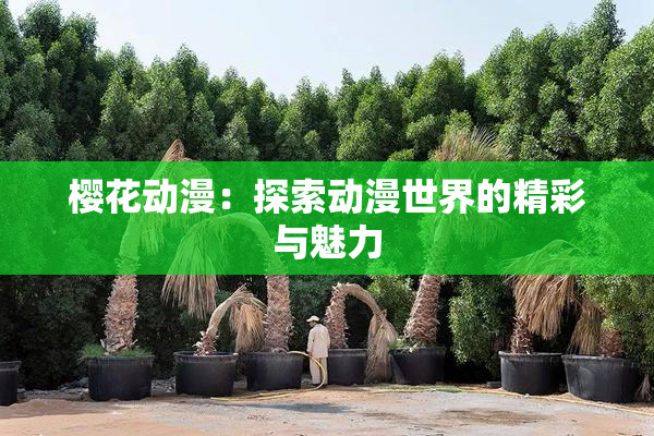 樱花动漫：探索动漫世界的精彩与魅力