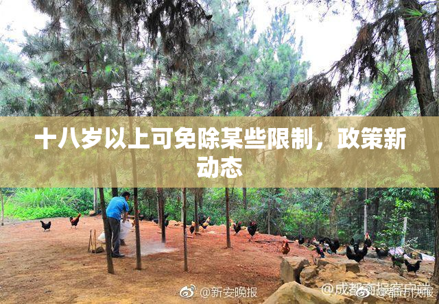 十八岁以上可免除某些限制，政策新动态