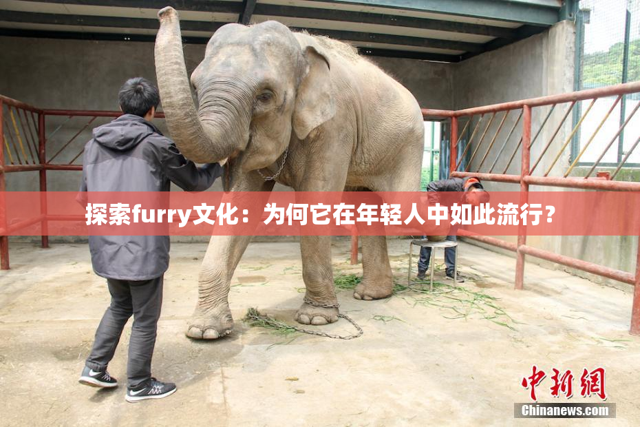 探索furry文化：为何它在年轻人中如此流行？