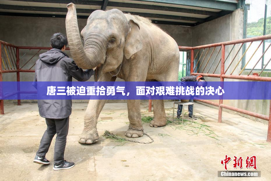唐三被迫重拾勇气，面对艰难挑战的决心