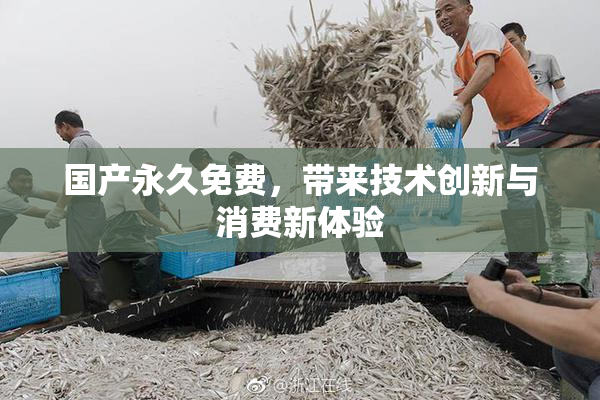 国产永久免费，带来技术创新与消费新体验