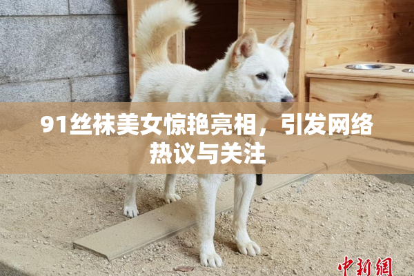 91丝袜美女惊艳亮相，引发网络热议与关注
