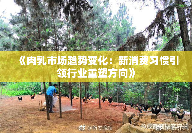 《肉乳市场趋势变化：新消费习惯引领行业重塑方向》