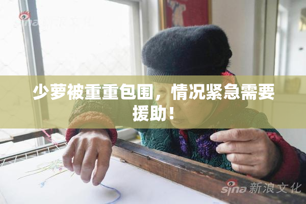 少萝被重重包围，情况紧急需要援助！