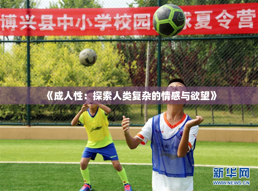 《成人性：探索人类复杂的情感与欲望》