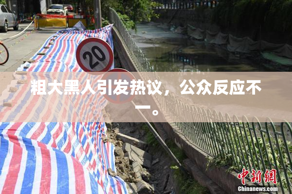 粗大黑人引发热议，公众反应不一。