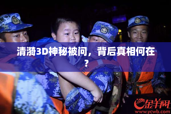清漪3D神秘被问，背后真相何在？