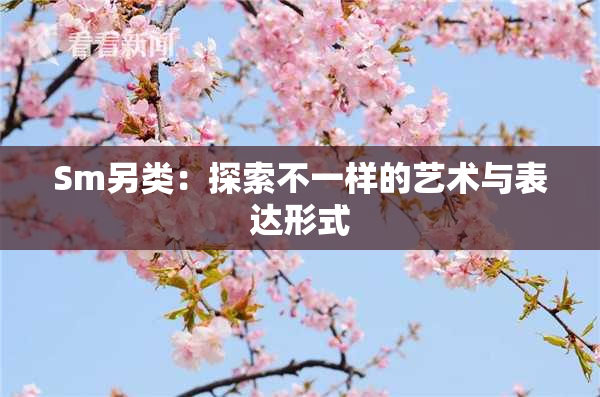 Sm另类：探索不一样的艺术与表达形式
