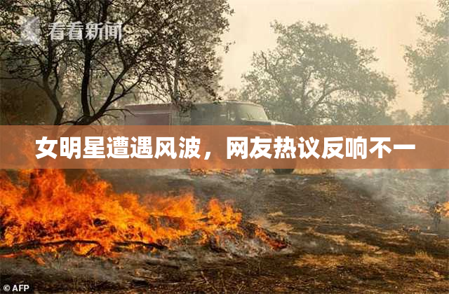 女明星遭遇风波，网友热议反响不一