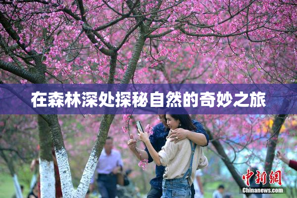 在森林深处探秘自然的奇妙之旅